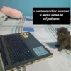 2 9 Я написал свое мнение и меня начали обзывать