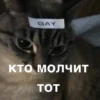 morphy chat котики @whymorphy 15
