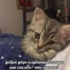доброе утро клубничка в сахаре как спалось, что снилось?