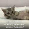 Я весь во внимание, можешь делиться всем, что тебя беспокоит!!