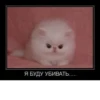 Я БУДУ УБИВАТЬ......