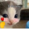 Is for you
