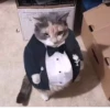 @kitygifs 27
