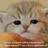 ну чего ты носик повесил котеночек!!!! все будет хорошо!!!!! ты со всем справишься!!!
