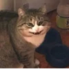 @kitygifs 29