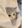 Kucing - widya 28