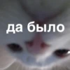 morphy chat котики @whymorphy 22