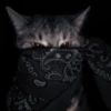 cats (*/W＼*) 8
