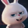 Rabbit @stickersb2b 10