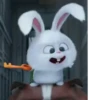 Rabbit @stickersb2b 12