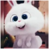 Rabbit @stickersb2b 13