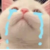 MeowBots 2 15