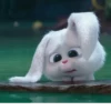 Rabbit @stickersb2b 19