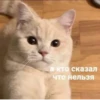 MeowBots 2 20