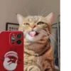 MeowBots 2 22