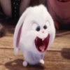 Rabbit @stickersb2b 20