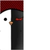 monocrow 17