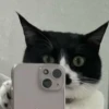 cats (*/W＼*) 22