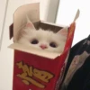 cats (*/W＼*) 26
