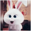 Rabbit @stickersb2b 26