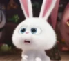 Rabbit @stickersb2b 29