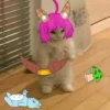 Nana club 28