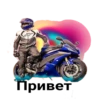 🏍_Moto_stics(@Wellness_sveta 12