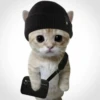 Котики ¡! @Help_hyunjina 8