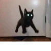 котики х2 @zauxsa @emojis4 6