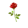MuslimahStickers 8