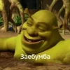 moto-moto-shrecks 5