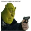 moto-moto-shrecks 7