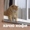 Funny Animals 4 (@t_stickers) 6