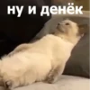 Funny Animals 4 (@t_stickers) 7
