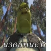 moto-moto-shrecks 14