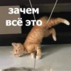 Funny Animals 4 (@t_stickers) 11