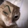 Котики ¡! @Help_hyunjina 21