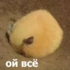 Funny Animals 4 (@t_stickers) 15