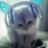 Котики ¡! @Help_hyunjina 24