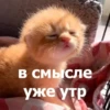 Funny Animals 4 (@t_stickers) 19