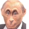 monkey putin 11
