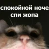 Funny Animals 4 (@t_stickers) 20