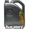 W203 family by@berezzi 27