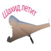 Lisa 21