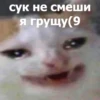 Funny Animals 4 (@t_stickers) 24