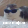 Funny Animals 4 (@t_stickers) 25