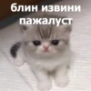 Funny Animals 4 (@t_stickers) 28