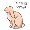 Кроли @oh_mashka 15