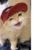 котики х2 @zauxsa @emojis4 29