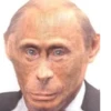 monkey putin 12